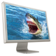Illustration for article titled Live Every Week Like its Shark Week
